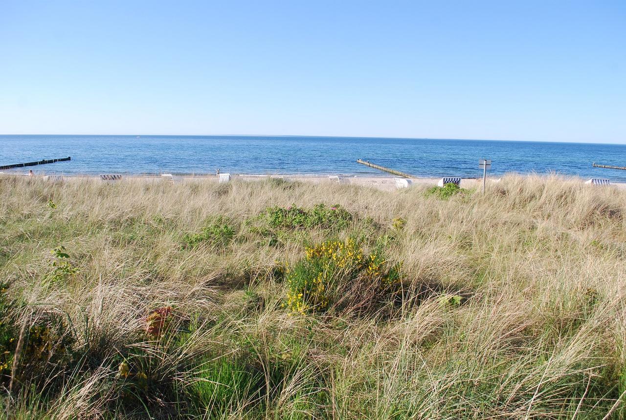 Ferienwohnungen Am Rosenhof Ostseebad Kühlungsborn 외부 사진